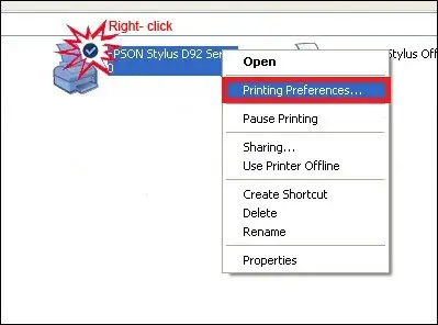 epson printer printing double vision